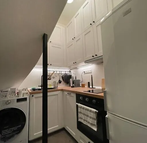 Apartment Good Old Times *